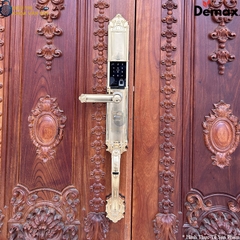 Demax EL821 nổi bật với thiết kế sang trọng, chất liệu cao cấp và khả năng bảo mật vượt trội