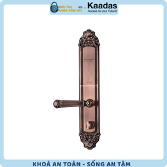 Khóa thông minh Kaadas 6002