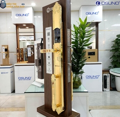 Khóa vân tay đại sảnh Osuno OSN-KBT02