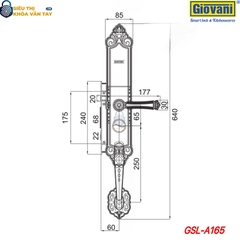 Khóa thông minh Giovani GSL-A165 màu vàng, an toàn tuyệt đối, thiết kế cổ điển, sang trọng