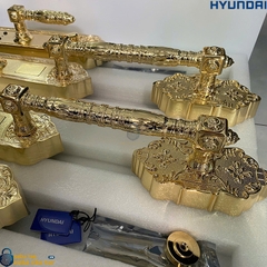 Khóa cửa đại sảnh HY-SLC8820 Gold chính hãng Hyundai