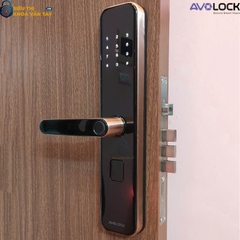 Khóa Vân Tay Avolock Cửa Gỗ  AV 65