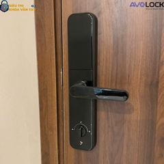Khóa Vân Tay Avolock Cửa Gỗ  AV 65