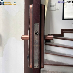 Khóa Vân Tay Avolock Cửa Gỗ  AV 65