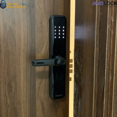 Khóa Vân Tay Avolock Cửa Gỗ  AV 65