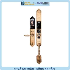 Khóa vân tay Avolock Đại Sảnh AC 997F sở hữu thiết kế cao cấp, tay cầm bản lớn, phù hợp với cửa đại sảnh