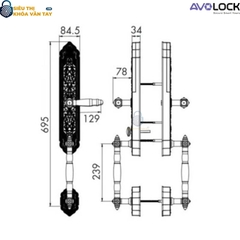 Khóa vân tay Avolock Đại Sảnh AC 997F sở hữu thiết kế cao cấp, tay cầm bản lớn, phù hợp với cửa đại sảnh