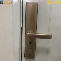 Khóa vân tay cửa gỗ Hubert CG61 giải pháp bảo vệ cửa gỗ hiệu quả
