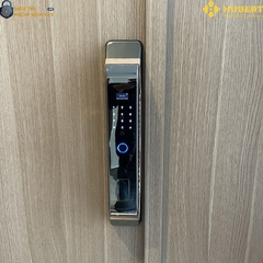 Khóa vân tay cửa gỗ Hubert CG68 COPPER thông minh bảo mật