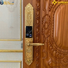 Khóa vân tay đại sảnh Hubert DS79 GOLD chính hãng cao cấp