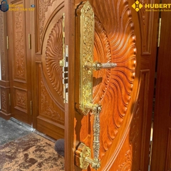 Khóa vân tay đại sảnh Hubert DS79 GOLD thông minh bảo mật