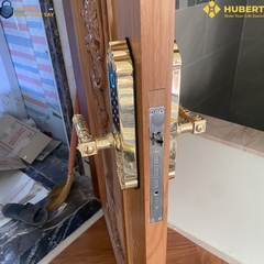 Khóa vân tay đại sảnh Hubert DS79 GOLD MINI thông minh bảo mật