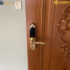 Khóa vân tay đại sảnh Hubert DS79 GOLD MINI an toàn chống trộm