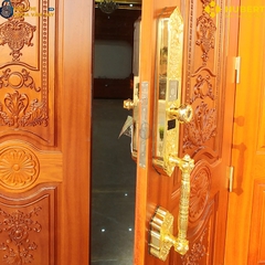 Khóa vân tay đại sảnh Hubert DS79F GOLD an toàn chống trộm