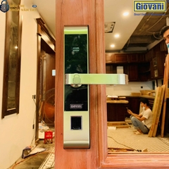Khóa vân tay Giovani GSL-118C87GG màu vàng, dễ dàng sử dụng