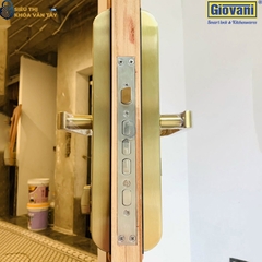 Khóa vân tay Giovani GSL-118C87GG màu vàng, lắp đặt đơn giản