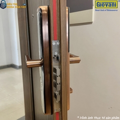 Khóa vân tay Giovani cửa gỗ GSL-A3BR màu đen hồng