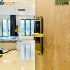 Khóa vân tay Giovani cửa gỗ GSL-C138FG màu vàng