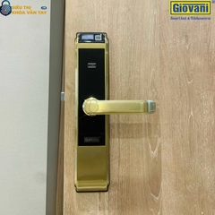 Khóa vân tay Giovani cửa gỗ GSL-C138FG màu vàng
