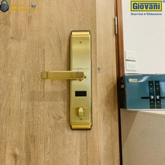 Khóa vân tay Giovani cửa gỗ GSL-C138FG màu vàng