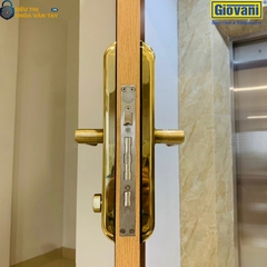 Khóa vân tay Giovani cửa gỗ GSL-C138FG màu vàng