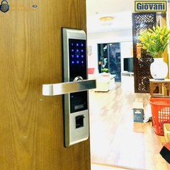 Khóa vân tay Giovani cửa gỗ GSL-C138G màu bạc
