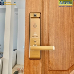 Khóa vân tay Giovani cửa gỗ GSL-K66 màu vàng