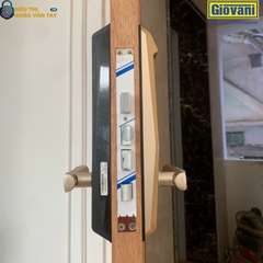 Khóa vân tay Giovani cửa gỗ GSL-K66 màu vàng