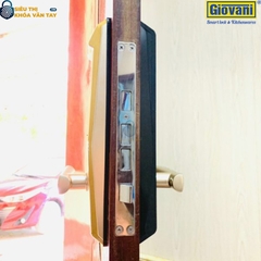 Khóa vân tay Giovani GSL-K66 màu vàng, bảo mật cao