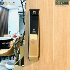 Khóa vân tay Giovani cửa gỗ GSL-K888BG màu đen vàng