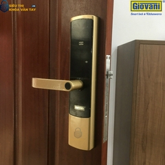 Khóa vân tay Giovani GSL-U801 màu vàng cho cửa gỗ