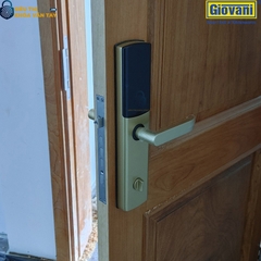 Khóa vân tay Giovani GSL-U801 màu vàng cho cửa gỗ cao cấp