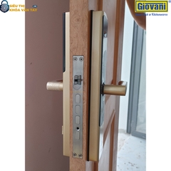 Khóa vân tay cửa gỗ Giovani GSL-U801 màu vàng bền đẹp
