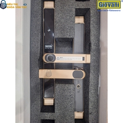 Khóa vân tay Giovani GSL-8801G màu vàng, giải pháp bảo mật tối ưu cho cửa nhôm, dễ dàng lắp đặt