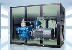 AEPM-2S