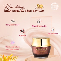 Kem làm trắng, chống nhăn da, hỗ  trợ giúp giảm thâm nám da( THE NATURE BOOK MESLA CREAM)  Trọng lượng 50g