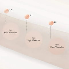 Phấn Nước Dinto Cushion Blur-Glowy Wooncho 942 Sage Wooncho- 12g