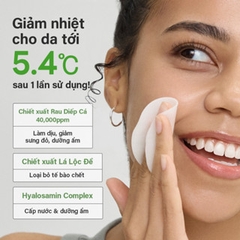 MIẾNG BÔNG THẤM DUNG DỊCH CHIẾT XUẤT DIẾP CÁ GIÚP DƯỠNG ẨM, LÀM DỊU DA - ABIB HEARTLEAF SPOT PAD CALMING TOUCH (80 MIẾNG) 150ML, SKU: AbibS11-Spadr