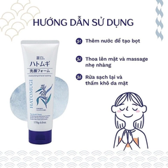 Sữa rửa mặt Reihaku Hatomugi Facial Foam 170g - 4513574029590