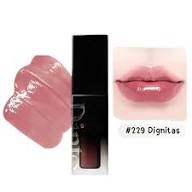 Son tint bóng Dinto Blur-Glowy Lip Tint 229 Dignitas - 3.5g