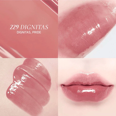 Son tint bóng Dinto Blur-Glowy Lip Tint 229 Dignitas - 3.5g