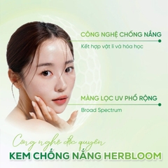 Kem chống nắng bật tone Daily toneup vegan sunscreen, Thương hiệu: Herbloom 50ml/tuýp