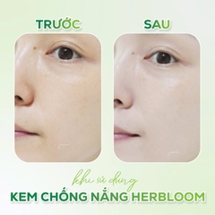 Kem chống nắng bật tone Daily toneup vegan sunscreen, Thương hiệu: Herbloom 50ml/tuýp