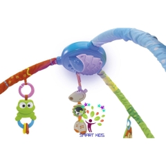 Thảm Chơi Sắc Màu Playmat Chicco