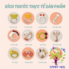 Set Xúc Xắc Chuột Pomo Cao Cấp Cho Bé PM-10110