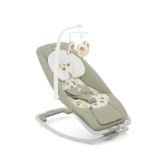 Ghế rung trẻ em Joie Dreamer Rocker Bouncer