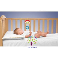 Đồ Chơi Treo Cũi Mèo Con Chicco