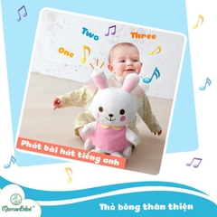 Bé kitty vui vẻ thương hiệu Combi