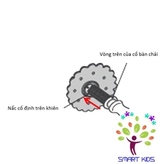 BÀN CHẢI BƯỚC 2 T.L.I RICHELL