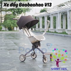 Xe Đẩy Baobaohao V13